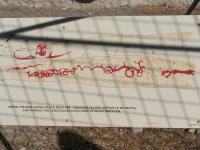 Albums/20060200-New Zealand 2006/20060316-Twiz/37